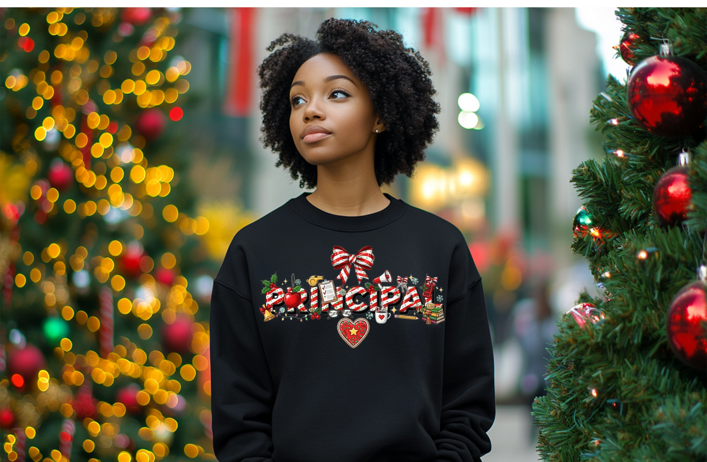 Christmas Tees/Sweatshirts Educators
